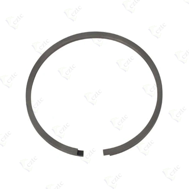 10007052 Piston Ring SG 120--110 X 3 For Schwing Concrete Pump BPL 900